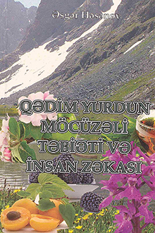 Qədim yurdun möcüzəli təbiəti və insan zəkası