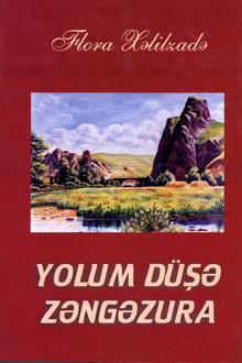 Yolum düşə Zəngəzura: sənədli, bədii, ensiklopedik nəşr