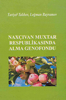 Naxçıvan Muxtar Respublikasında alma genofondu