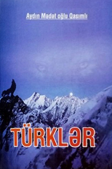 Türklər: tarixi oçerklər