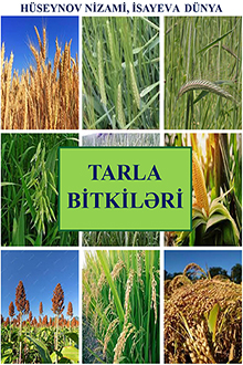 Tarla bitkiləri: I hissə