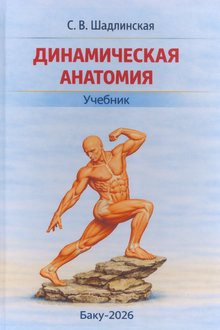 Динамическая анатомия