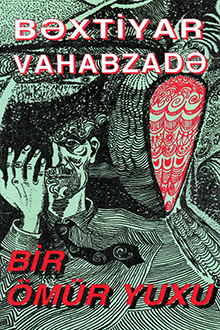 Bir ömür yuxu