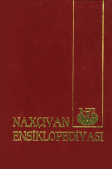 Nax&ccedil;ıvan ensiklopediyası