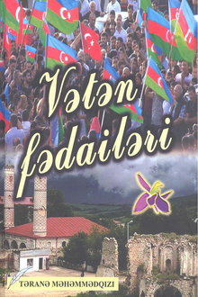 Vətən fədailəri