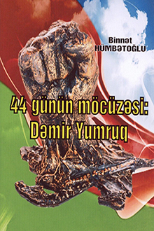 44 g&uuml;n&uuml;n m&ouml;c&uuml;zəsi: Dəmir Yumruq